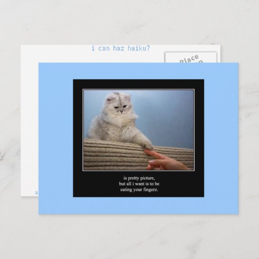 haiku cat 14 carte postale (Devant / Derrière)
