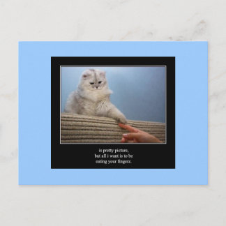 haiku cat 14 carte postale