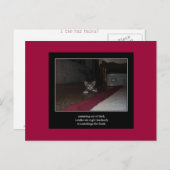 haiku cat 1 carte postale (Devant / Derrière)