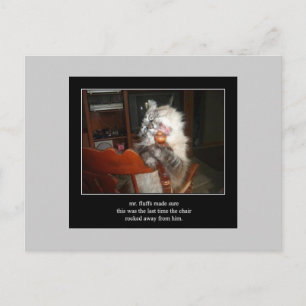 haiku kat 15 briefkaart