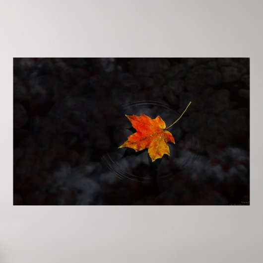 Haiku Poster (Voorkant)