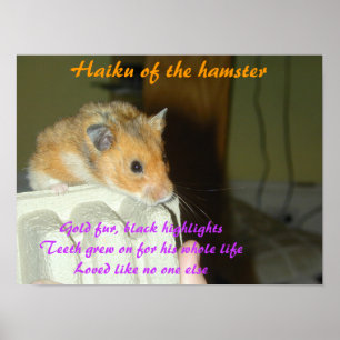 Haiku van de Hamster 1 Poster