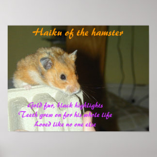 Haiku van de Hamster 1 Poster