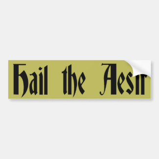Hail de Aesir Bumpersticker