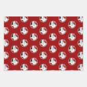 Hail Santa Inpakpapier Vel (Voorkant)