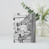 Haile Selassie - HIM - Rastafari - Carte postale (Debout devant)