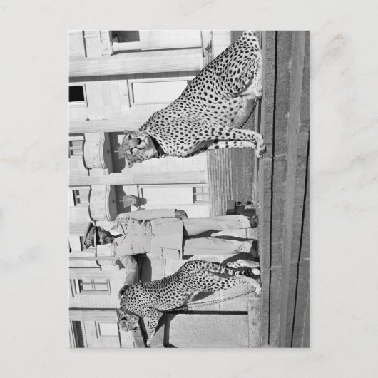 Haile Selassie - HIM - Rastafari - Carte postale (Devant)