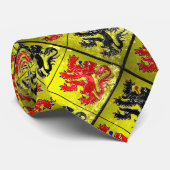 Hainaut Stropdas (Opgerold)