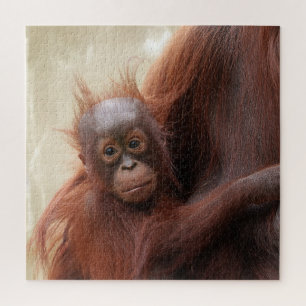 Hair-raisingly schattig - De Schattige Baby orang- Legpuzzel