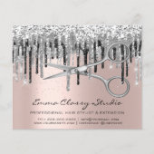 Hairdresser Nail Stylist Silver Grey Roos Drivers Flyer (Voorkant)