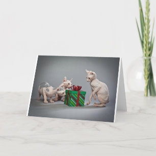 HAIRLESS CAT'S CHRISTMAS FEESTDAGEN KAART