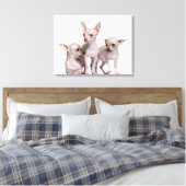 Hairless Chihuahua (5 en 7 maanden oud) Canvas Afdruk (Insitu (Slaapkamer))