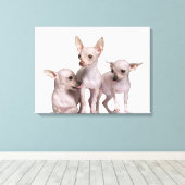 Hairless Chihuahua (5 en 7 maanden oud) Canvas Afdruk (Insitu (Houten vloer))