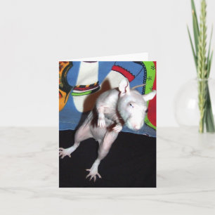 Hairless Pet Rat Note Kaart