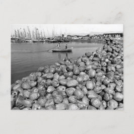 Haïti Port Au Prince Briefkaart