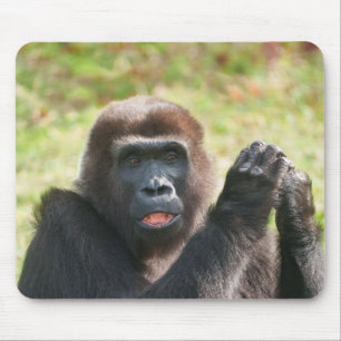 Hakuna Matata, de gorilla Muismat
