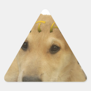 Hakuna Matata Ik weet wat je denkt. Driehoek Sticker