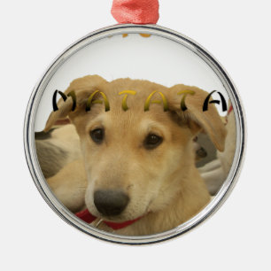 Hakuna Matata Ik weet wat je denkt. Metalen Ornament