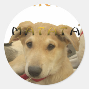 Hakuna Matata Ik weet wat je denkt. Ronde Sticker