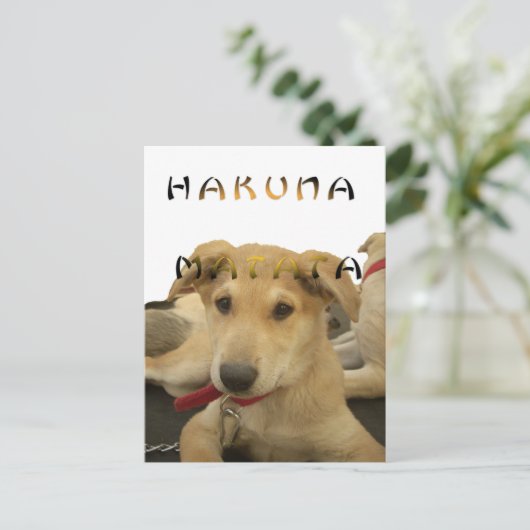 Hakuna Matata Ik weet wat je denkt van afbeelding Briefkaart (Staand voorkant)