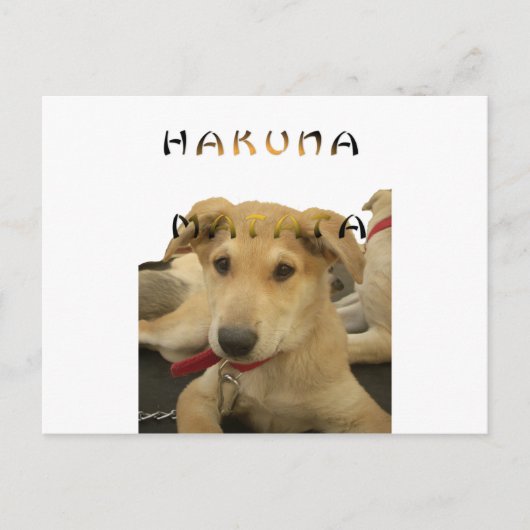 "Hakuna Matata Pup" - Zorgenvrije Puppy Liefde Briefkaart (Voorkant)