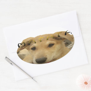 "Hakuna Matata Pup" - Zorgenvrije Puppy Liefde Ovale Sticker