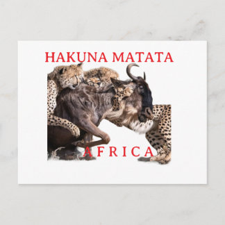 Hakuna Matata Safari Ansichtkaart | Wilde Dieren Briefkaart