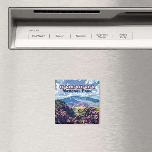 Haleakala National Park Maui Volcano Hawaii Magneet (Insitu (Vaatwasser))