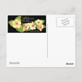 Haleiwa Briefkaart (Achterkant)