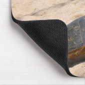 Haleiwa Honu Muismat (Hoek)