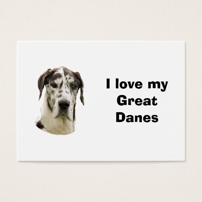 Halequin Great Dane photo de l'animal (Devant)