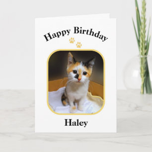 Haley Calico Katje Gefeliciteerd Kaart
