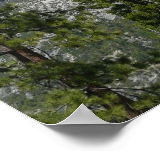 Half-dome van Panorama Trail II Poster (Hoek)