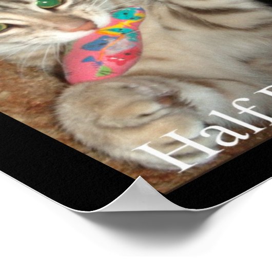 Half en Half Poster (Hoek)