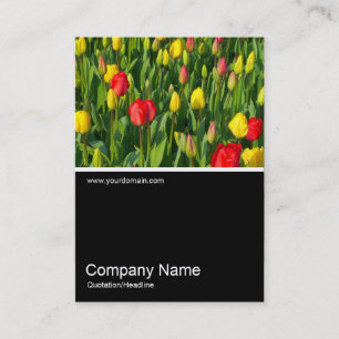 Half&Half Foto 0151 - Colorful Tulips II Visitekaartje