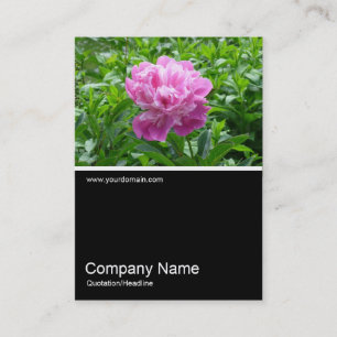 Half&Half Foto 0158 - Pink Peony Visitekaartje