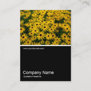 Half&Half Foto 0232 - Black-eyed Susans Visitekaartje
