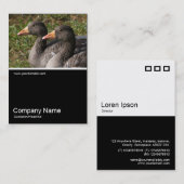 Half&Half Foto 0240 - Greylag Geese Visitekaartje (Voorkant / Achterkant)