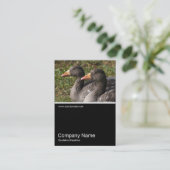 Half&Half Foto 0240 - Greylag Geese Visitekaartje (Staand voorkant)
