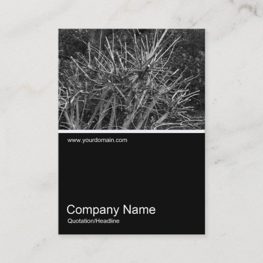 Half&Half Foto 0301 - Pruned Shrub Visitekaartje (Voorkant)