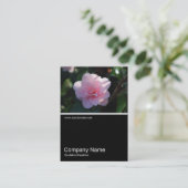 Half&Half foto 0311 - Roze Camellia Visitekaartje (Staand voorkant)