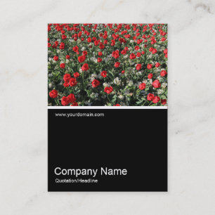 Half&Half Foto 0316 - Red Tulips and Primroses Visitekaartje