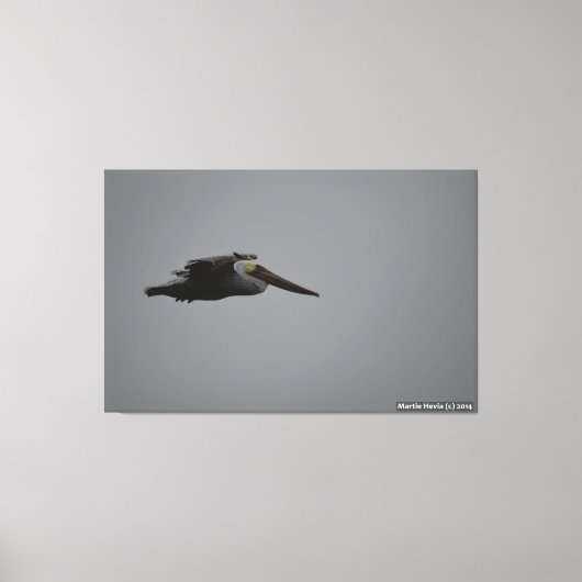 Half Moon Bay Fierce Pelican III - verpakt canvas (Voorkant)