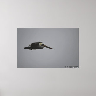 Half Moon Bay Fierce Pelican III - verpakt canvas Afdruk