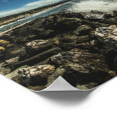 Half Moon Bay Poster (Hoek)