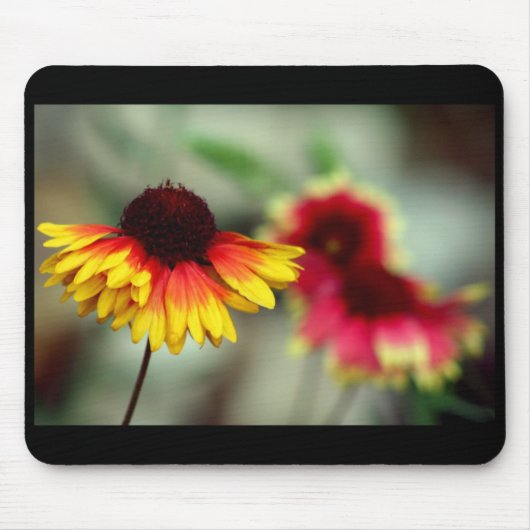 halfdaisy mousepad muismat (Voorkant)