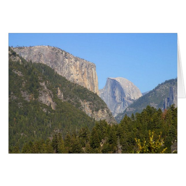 Halfdome Yosemite Forests (Voorkant Horizontaal)