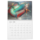 Halfmoon Betta Calendar 2013 van Karen Mac Auley Kalender (Mar 2026)