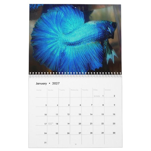 Halfmoon Betta Calendar 2013 van Karen Mac Auley Kalender (Jan 2027)