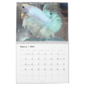 Halfmoon Betta Fish Calendar Kalender (Feb 2026)